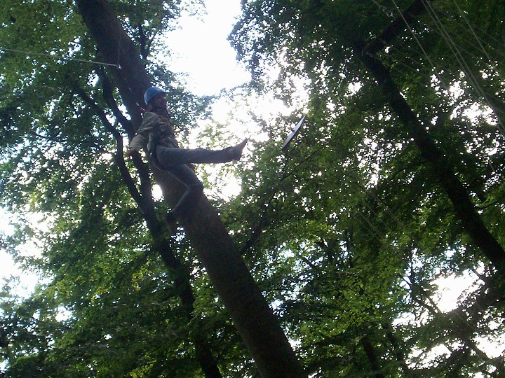 img00029.jpg