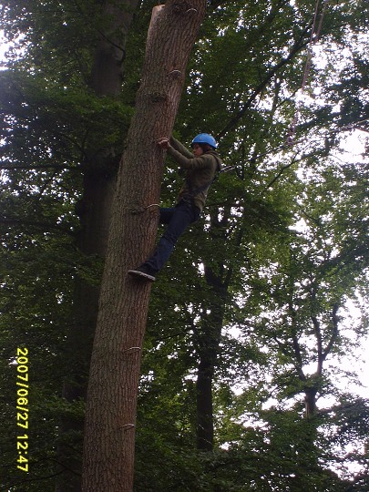 img00037.jpg