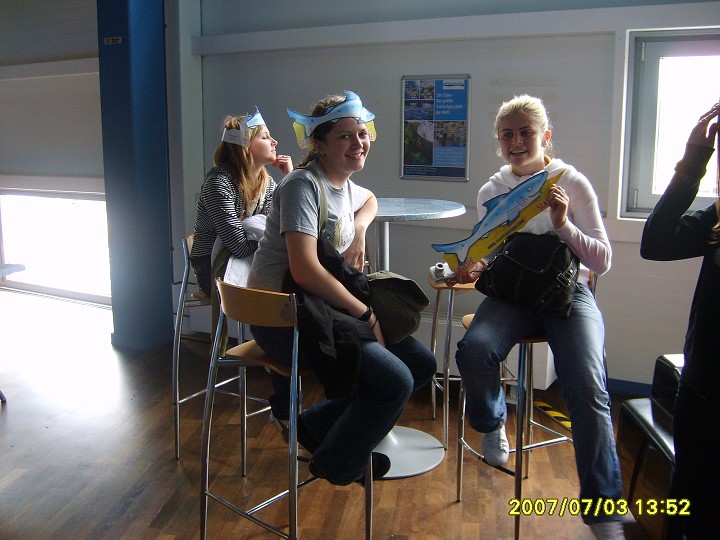 img00062.jpg