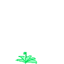 Kaimrov
